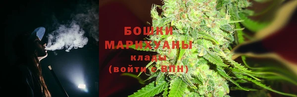 спайс Бородино
