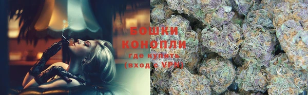 спайс Бородино