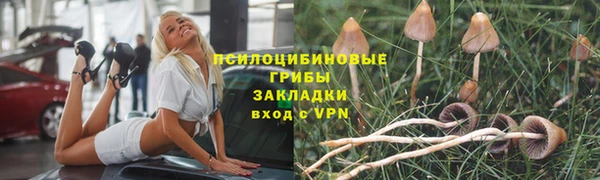 каннабис Богданович