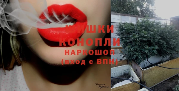 дмт Бронницы