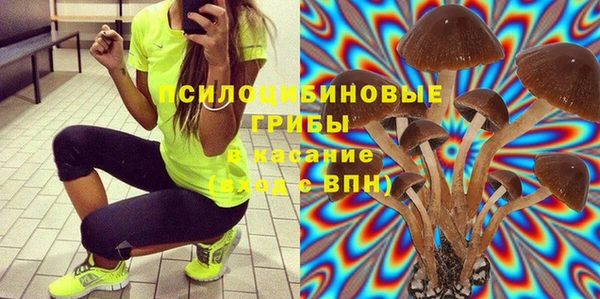 спайс Гусь-Хрустальный