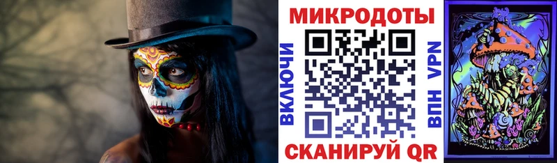 купить наркотики цена Муравленко Галлюциногенные грибы Cubensis